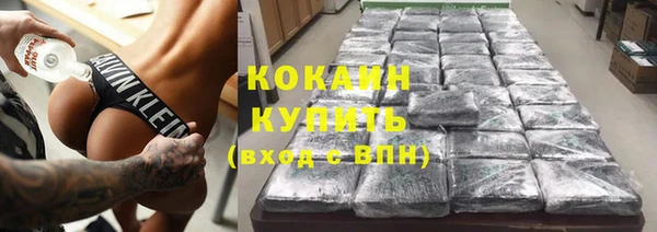 дмт Богородск