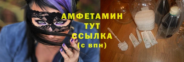 мдпв Богородицк