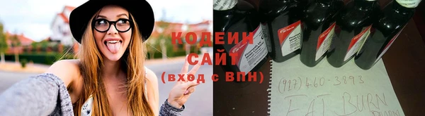 дмт Богородск