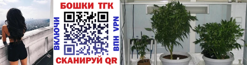 Бошки Шишки планчик  магазин  наркотиков  Венёв 